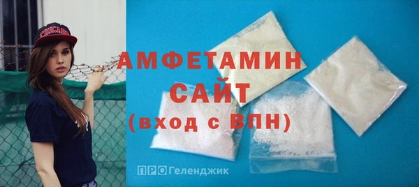 прущие грибы Рославль