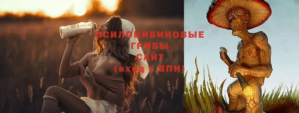 кокаин Богданович