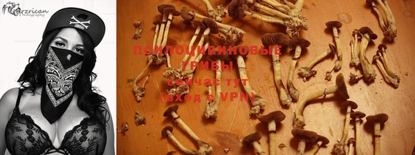 MESCALINE Богородск